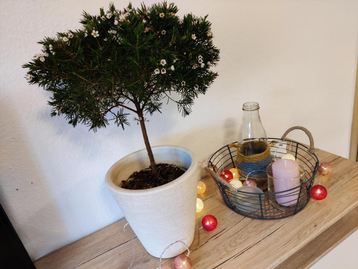 Ferienwohnung Brunow "In Der Natur Zuhause" Neundorf  Екстериор снимка