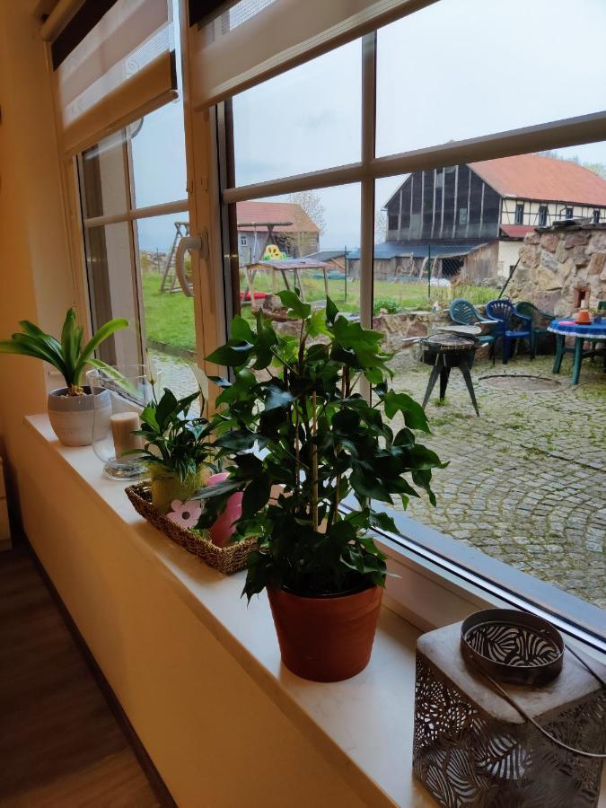 Ferienwohnung Brunow "In Der Natur Zuhause" Neundorf  Екстериор снимка