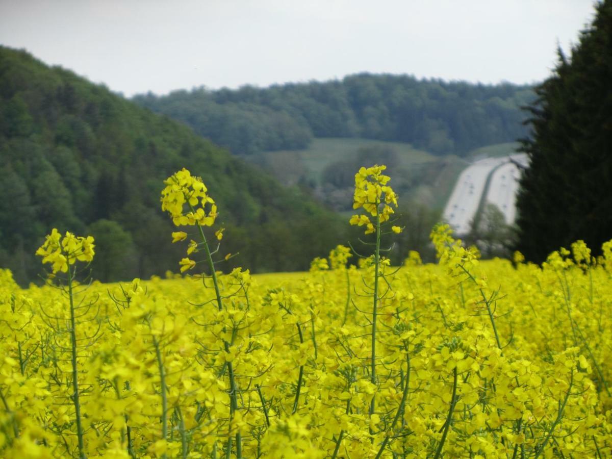 Ferienwohnung Brunow "In Der Natur Zuhause" Neundorf  Екстериор снимка